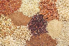 Grains